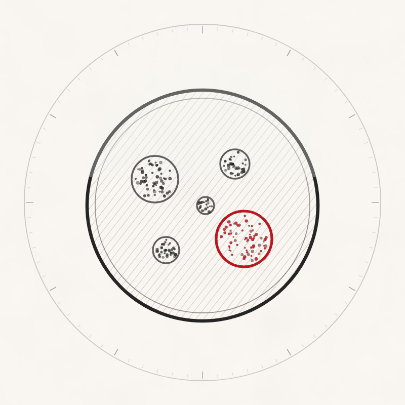 Categorie analize – microbiologie și parazitologie Analize de microbiologie și parazitologie – Technomed Group